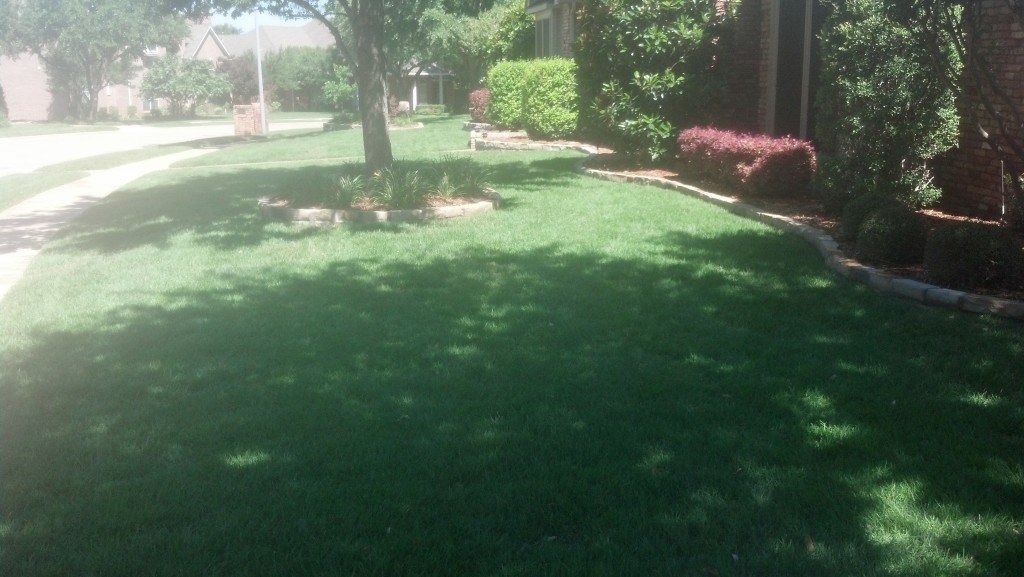 gallery detroit lawn care landscaping 498