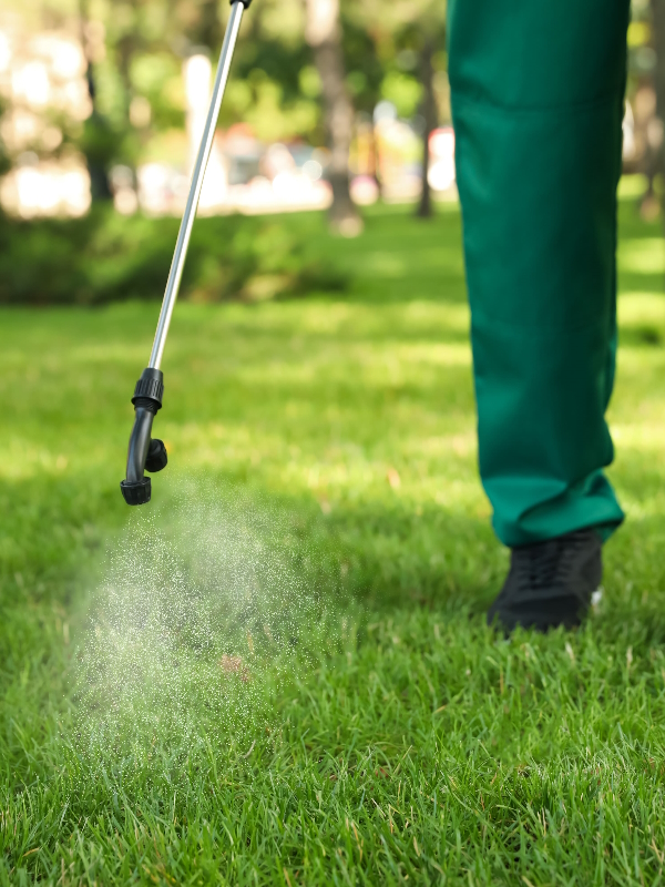 lawn care optional worker spraying green lawn as369590959