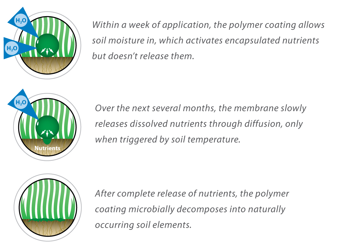 lei polyon controlled release fertilizer